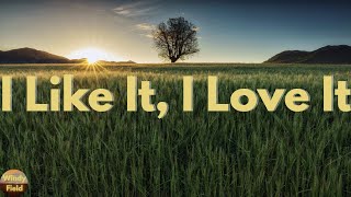 Tim McGraw - I Like It, I Love It (Lyrics)