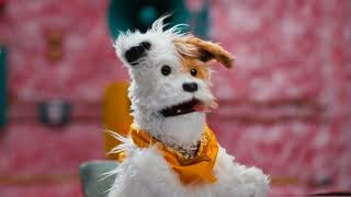 Good 'n' Fun That Smell - Let Dogs Dog