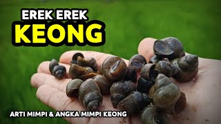 Download lagu EREK EREK KEONG 2D 3D 4D & ARTI MIMPI TENTANG KEONG mp3
