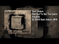 Seth Adam - Not Sad To See You Leave