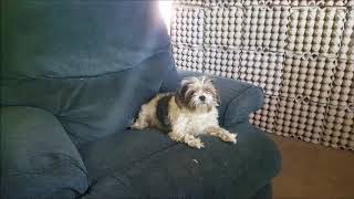 OdeesOdes Songs We Sing