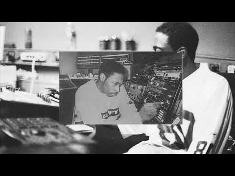 [FREE] VINTAGE SAMPLE LOOP PACK VOL.95 - DVD