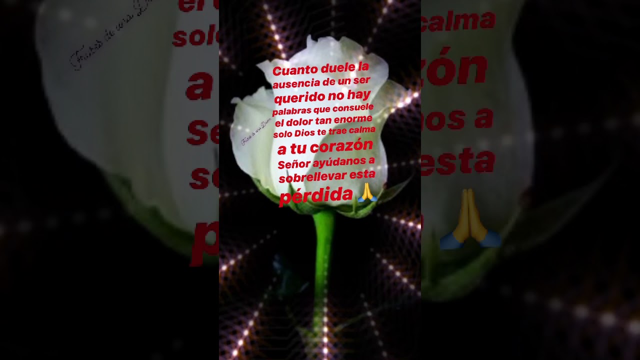 Frase de ánimo para alguien que está sufriendo una pérdida de un ser querido 🖤