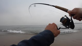 Surf Fishing the California Coast ($1000 Online Tournament)