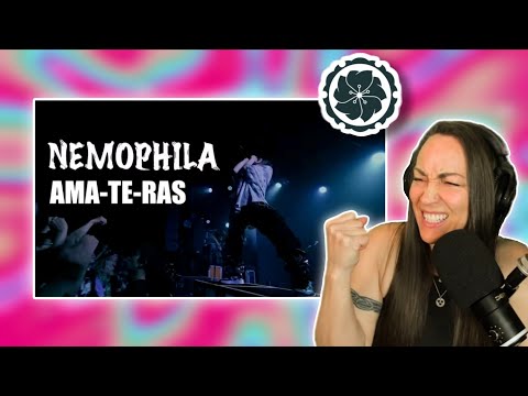 That's how you do it! | NEMOPHILA / AMA-TE-RAS [Official Live Video] Gen X reacts!