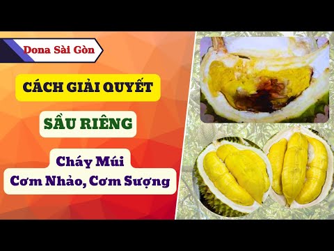  Không Lo Cháy Múi Sượng Cơm