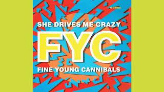 Fine Young Cannibals - She Drives Me Crazy (David Z 12&quot; Mix)