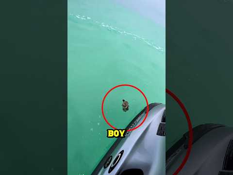 This Boy Saved a Tiny Turtle ❤️🐢