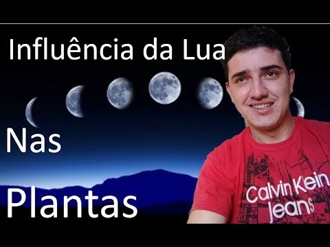 , title : 'Calendário Lunar, Na Horta Saiba o melhor momento de plantar e colher, Influência da lua nas plantas'