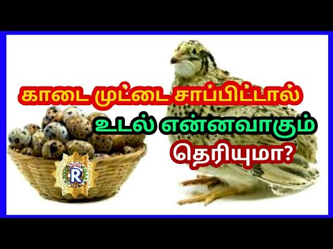 , title : 'காடை முட்டை வியக்க வைக்கும் நன்மைகள் |Health Benefits Of Quail Eggs Tamil | kada mutta'