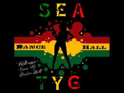 02. Welcome Inna Dancehall.wmv