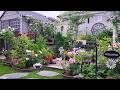 Tiny Backyard Garden Tour Plants And Flowers Garden Gardening Gardentour Plants Flowers New