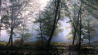 Riblja čorba - Ostalo je ćutanje