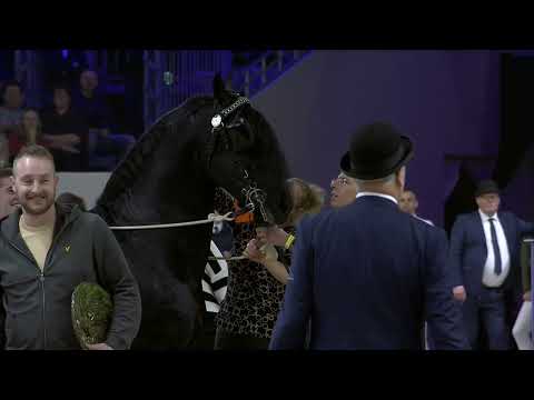 HK 2024   Event 7   Studbook Stallions approved from breeding season 2022   Spanish