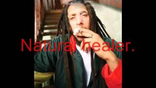 Julian Marley-Lemme Go Lyrics