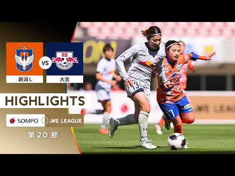 bg-highlight