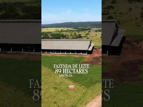 FAZENDA À VENDA COM ESTRUTURA PARA LEITE EM SANTA CRUZ DE GOIÁS #fazendaavenda #agro