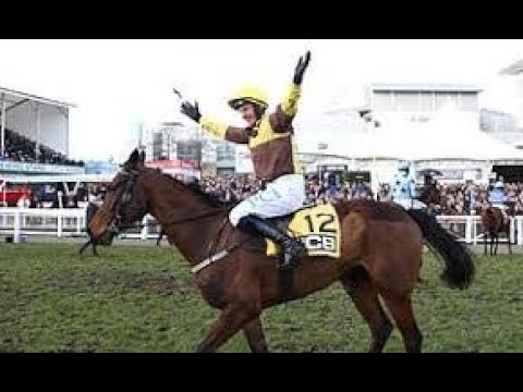 2020 UK Cheltenham Triumph Hurdle