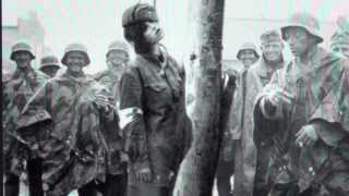 The Jäger Report Karl Jaeger Einsatzkommando & SwiSS Involvement in Massmurder and Genocide