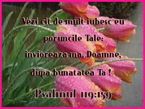 Eu sunt un om -- Andreea Popoi