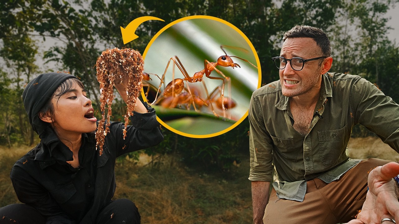 Surviving on Ants in Cambodia: How Asia’s Most Painful Dish is Making a Comeback