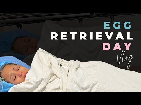 What Happens On Egg Retrieval Day? +  Embryo Report