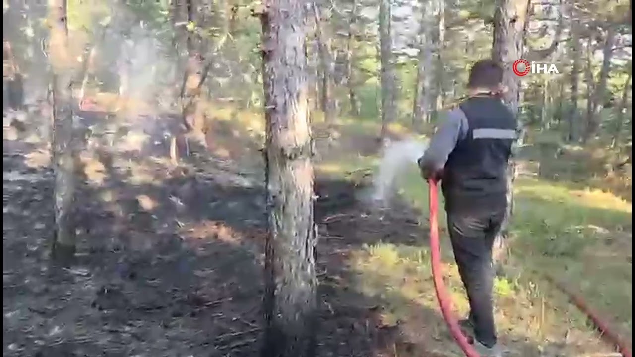 Örtü yangını büyümeden söndürüldü