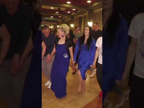 🌍 Razigrana pjevačica u kolu Samija Osmančević - Fis Vitez #shorts #kolo #zabava #bosnia