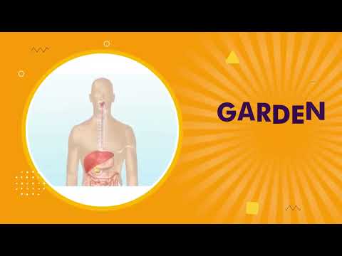 Ayurvedic churna and goli