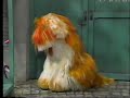 Sesame Street Telly Rosita Play For Barkley