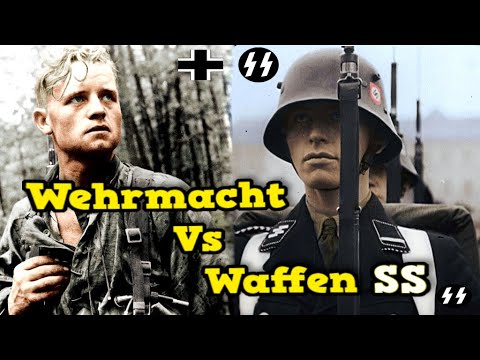 What did Rommel, Guderian and Manstein think about the Waffen SS?? His Harsh Appraisal...