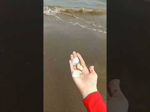 #beach #asmr #youtubeshorts #video #fyp