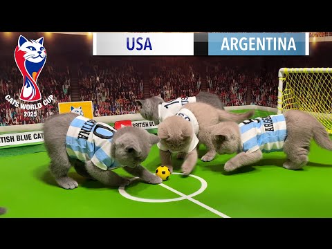 CAT WORLD CUP 2025 KICKS OFF! 🐾 USA 🇺🇸 VS ARGENTINA 🇦🇷 DRAMATIC GAME!  CATS KITTENS PLAY FOOTBALL ⚽