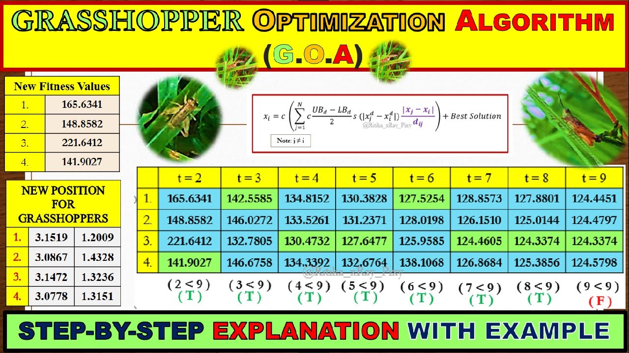 Learn Grasshopper Optimization Algorithm (G.O.A.) STEP-BY-STEP with Numerical Example ~xRay Pixy🌿🌞🌿