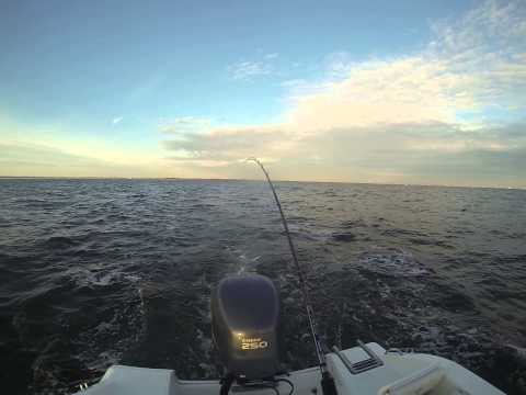 Setting up bunker spoon for trolling stripers