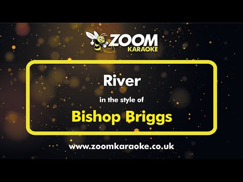 Bishop Briggs - River - Karaoke Version from Zoom Karaoke