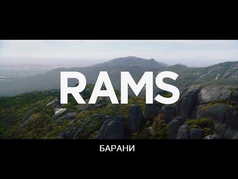 Трейлер Барани