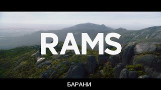 Барани / Rams (2020) (УКРАЇНСЬКІ СУБТИТРИ)