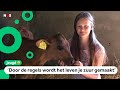 Valeries ouders zijn boer en ze steunt de protest-acties