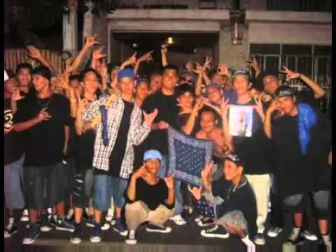 Pateros Hoodsta Crip 1603 PHC