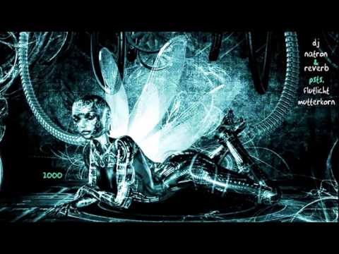 Dj Natron & Reverb Presents Flutlicht - Mutterkorn ·2001·