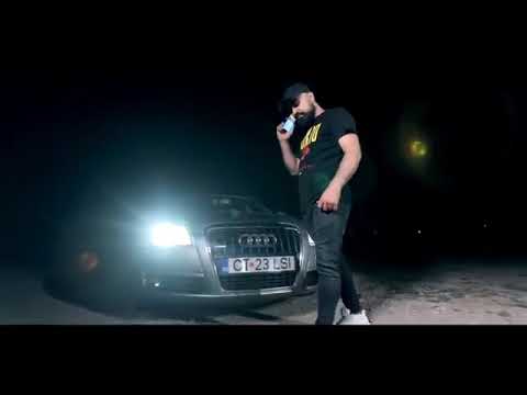 Dani printul banatului(frate trădător )