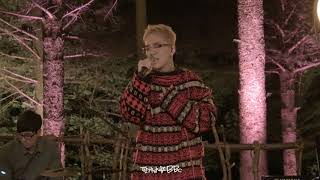 180908 대관령음악숲의노래  태일 taeil  '인형' / 딸기냥