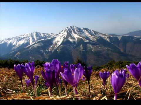 Veikko Tuomi: Muistoja Karpaateilta 1978