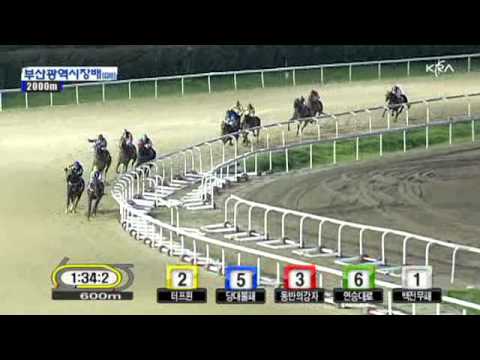 2011 The Mayor of Busan Metropolitan City Cup (G3) - Yeonseung Daero