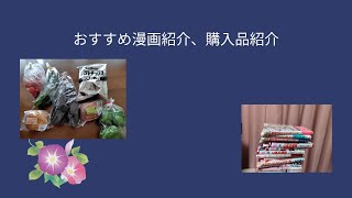 退勤後Vlog購入おすすめ漫画紹介Vlog