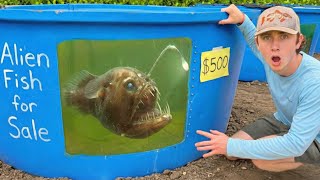 I Bought the World’s RAREST Alien Fish!