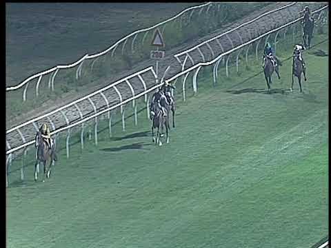 Galoppo 15/07/2017 - 6ª corsa