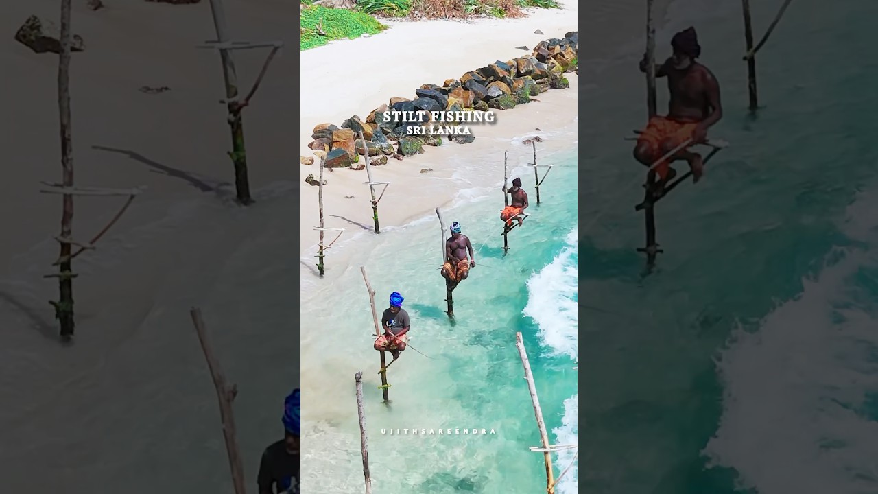 YouTube Short thumbnail