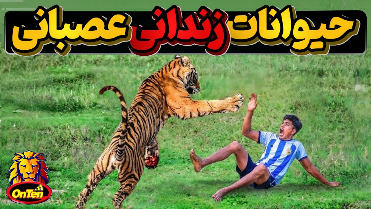 وقتی زندانیان بی گناه باغ وحش ها از کوره در میروند - قسمت دوم